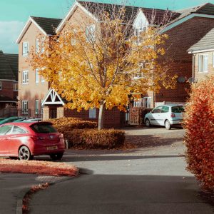 neighborhood