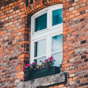 window
